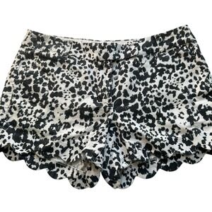 J. Crew Chino Shorts Scalloped Chic Leopard Print Black/White Linen Blend Size 6